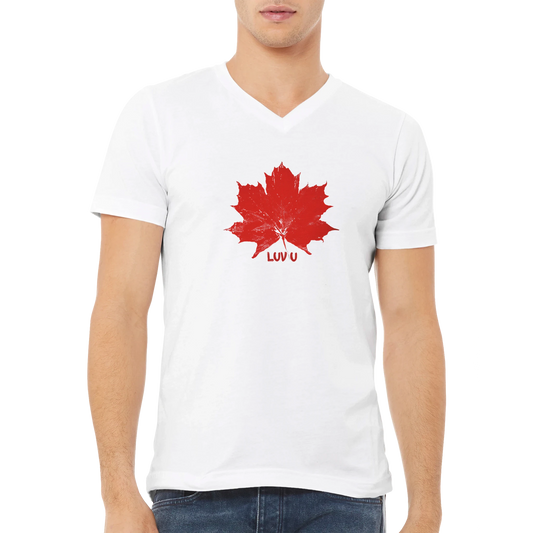 401d0ca9-aa99-437a-aa53-7bb9dbae09cb